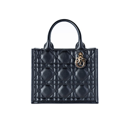 Borsa in Affitto Piccola Dior Book Tote